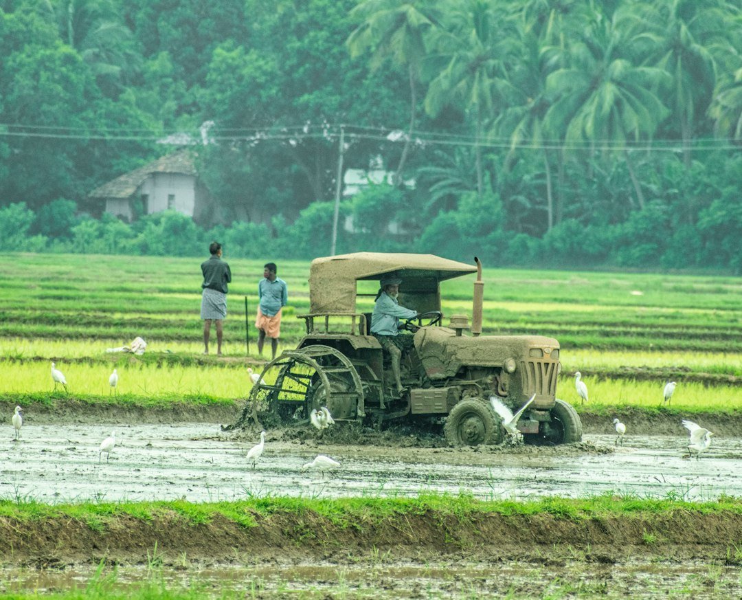 Farmers riding a tractor through a green field in India — preparing tractor trolley hydraulic hoses for the kharif harvest
