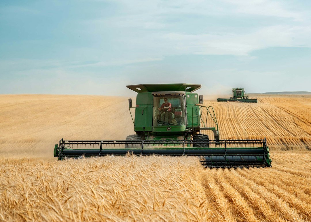 Two combine harvesters cutting a wheat field, machines that depend on combine harvester hydraulic hoses for header lift and drive